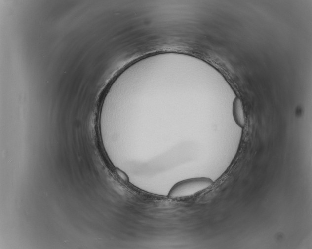 X0000094060098200711161534