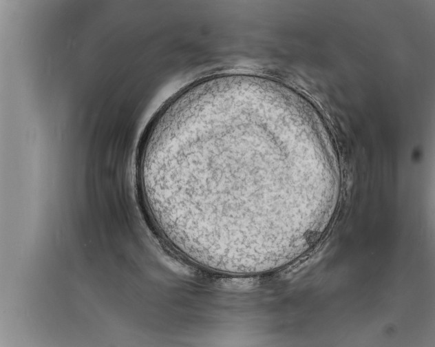 X0000094060102200711161534