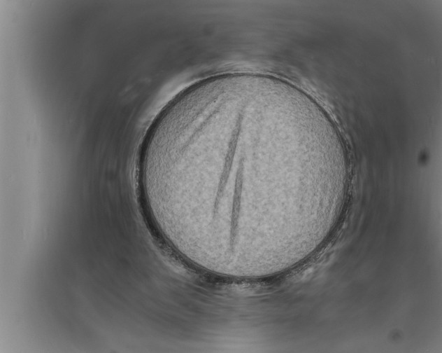 X0000094060103200711161534