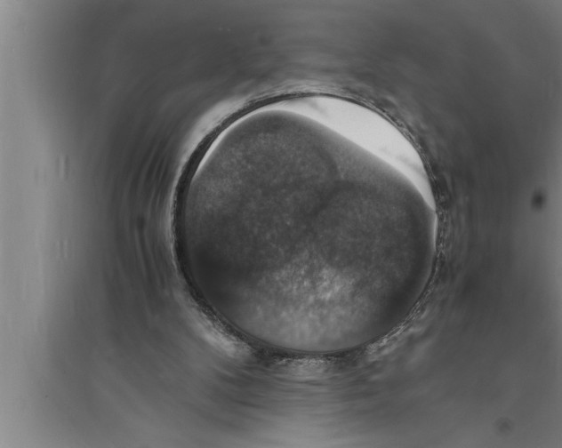 X0000094060104200711161534