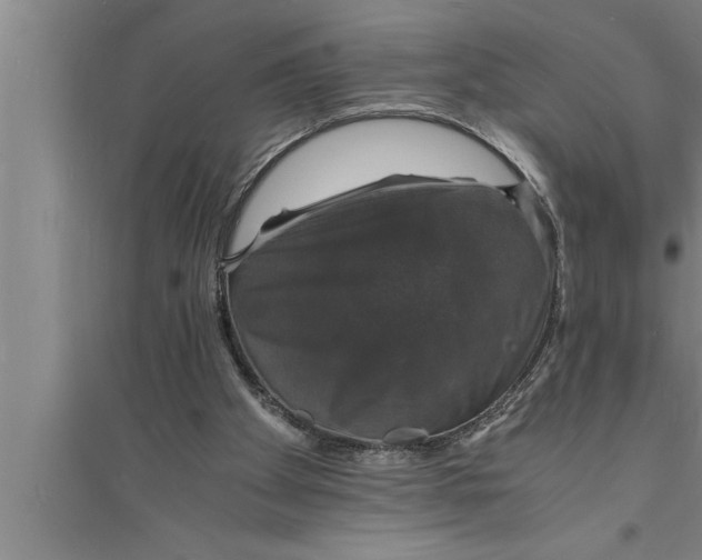 X0000094060105200711161534