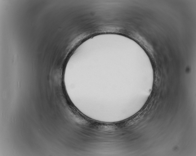 X0000094060107200711161534