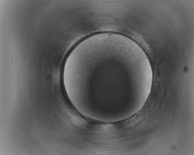 X0000094060108200711161534