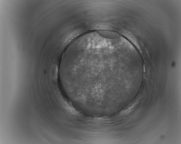 X0000094060109200711161534