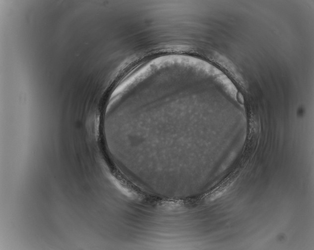 X0000094060110200711161534