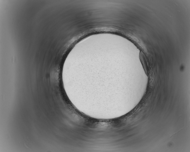 X0000094060111200711161534