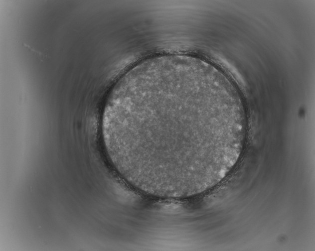 X0000094060113200711161533