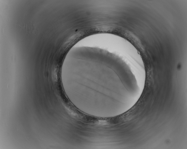 X0000094060114200711161533