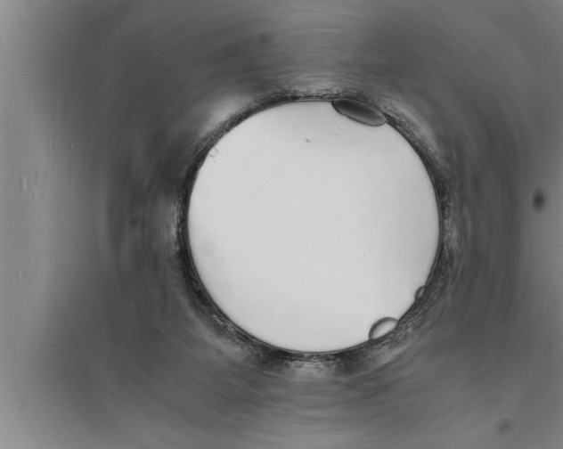 X0000094060115200711161533