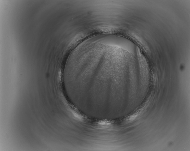 X0000094060117200711161533