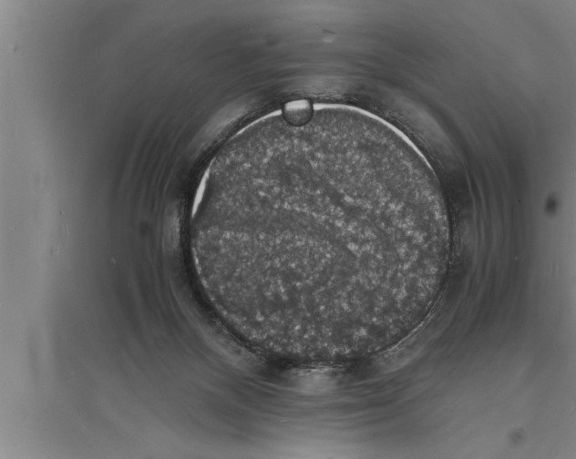 X0000094060120200711161533