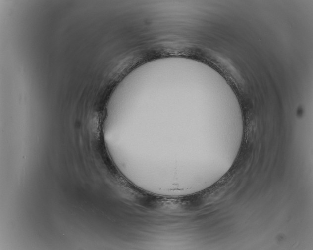 X0000094060121200711161533