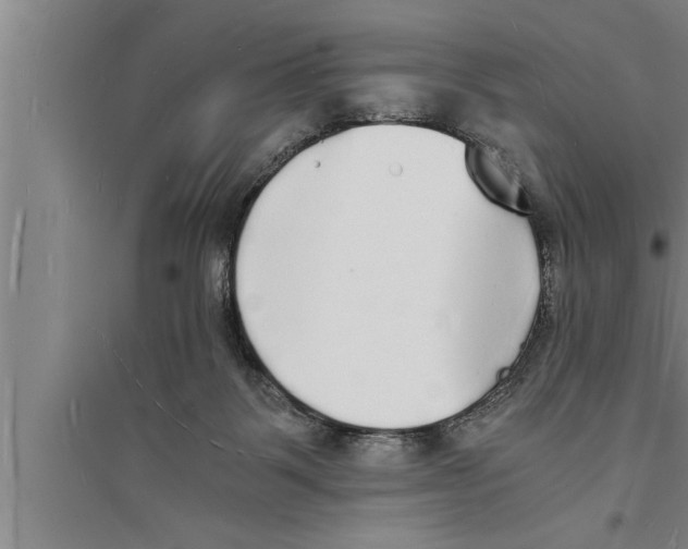 X0000094060123200711161533