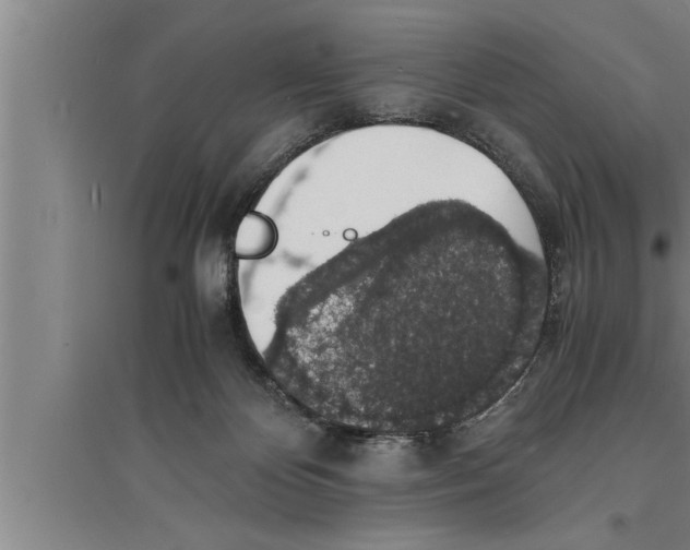 X0000094060124200711161533