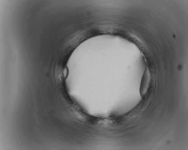 X0000094060125200711161533