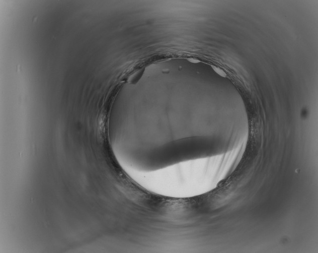 X0000094060127200711161533