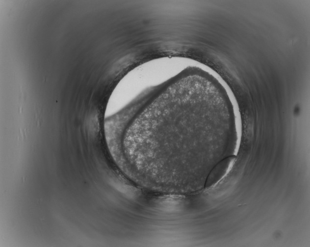 X0000094060128200711161533