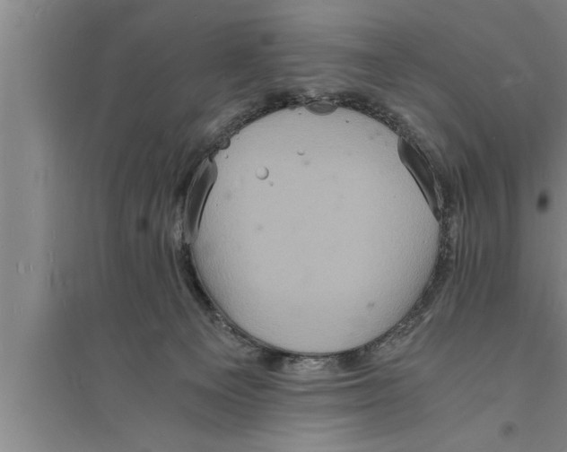 X0000094060129200711161533