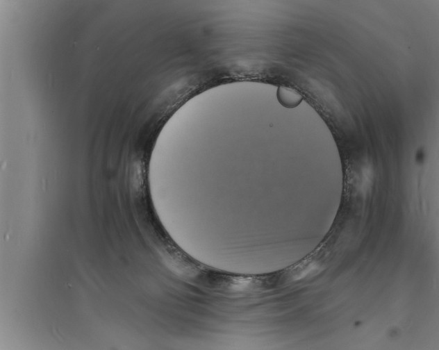 X0000094060130200711161533