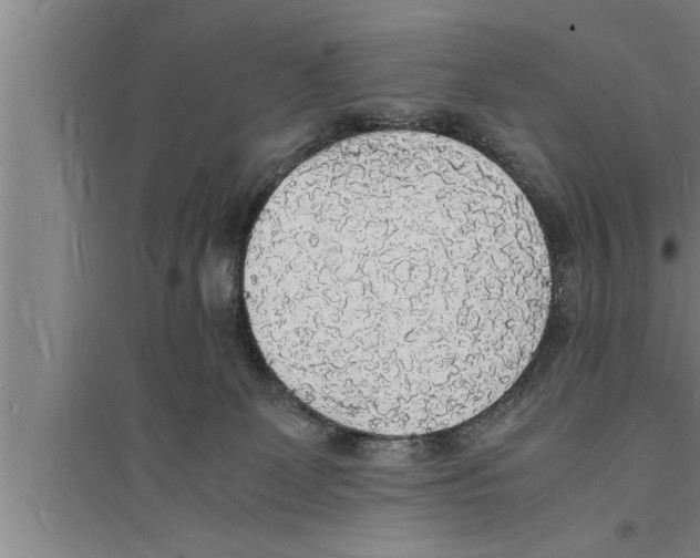 X0000094060131200711161533