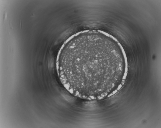 X0000094060132200711161533