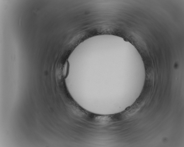 X0000094060133200711161533