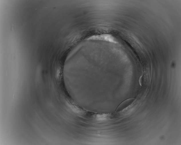 X0000094060134200711161533