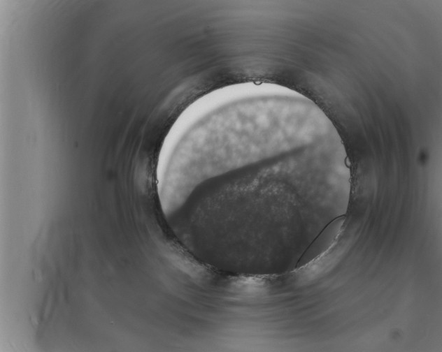 X0000094060140200711161533