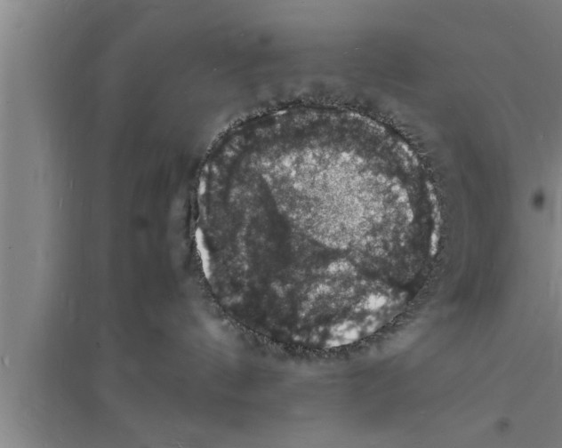 X0000094060144200711161533