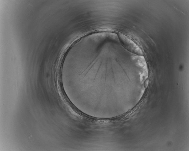 X0000094060145200711161532