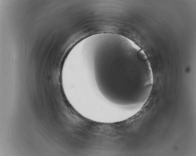 X0000094060146200711161532