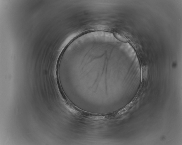 X0000094060147200711161532