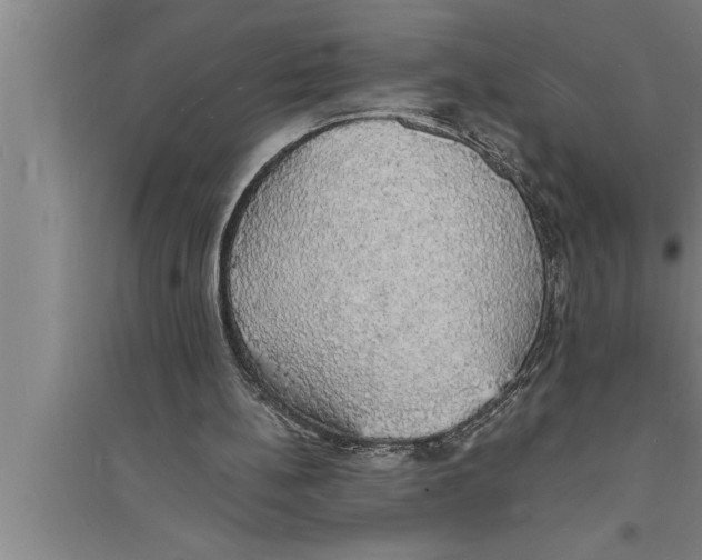 X0000094060148200711161532