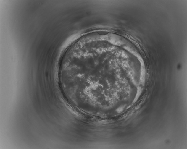 X0000094060149200711161532