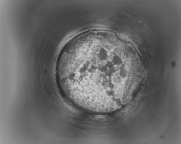 X0000094060151200711161532