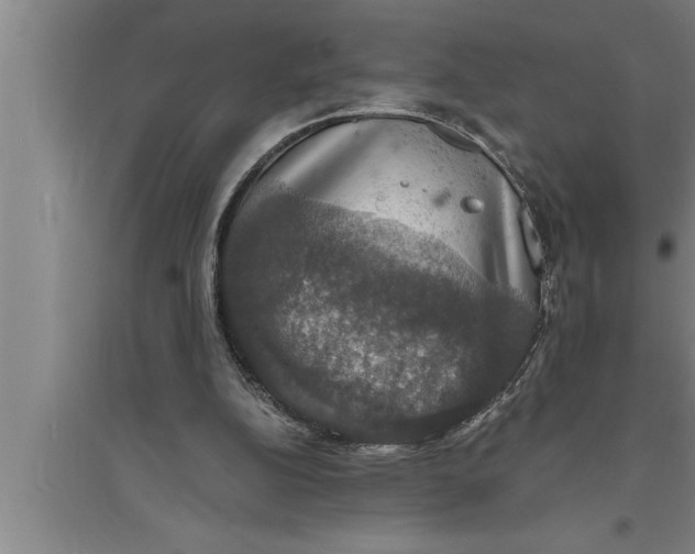 X0000094060152200711161532