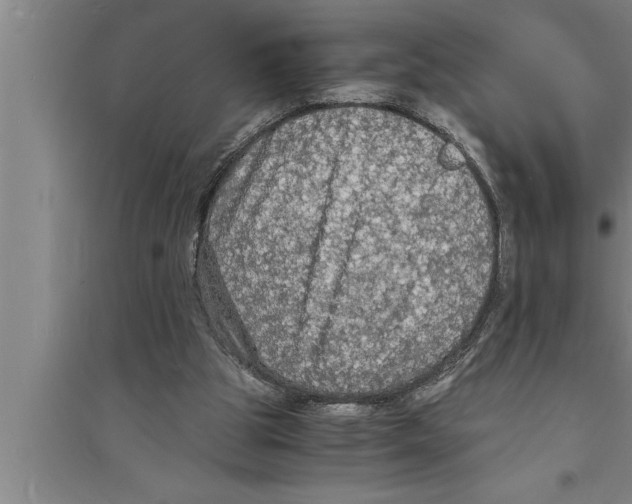 X0000094060153200711161532