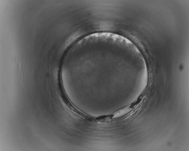 X0000094060154200711161533