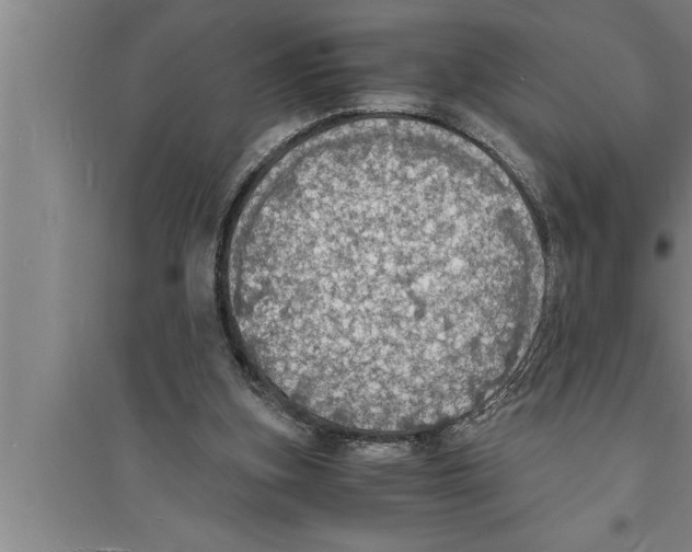 X0000094060155200711161533