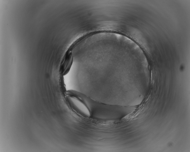 X0000094060156200711161533