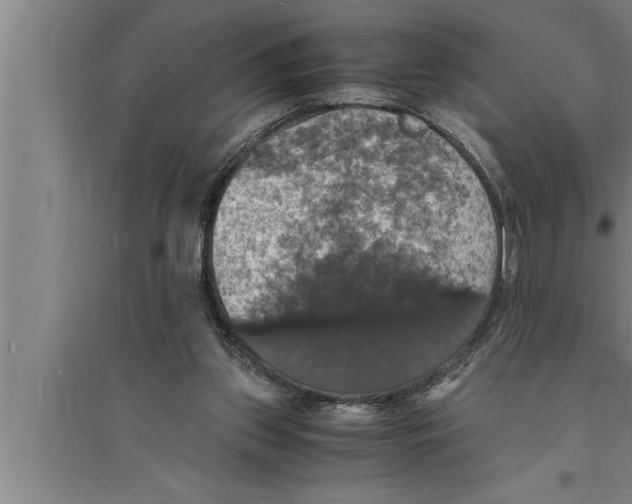 X0000094060157200711161533