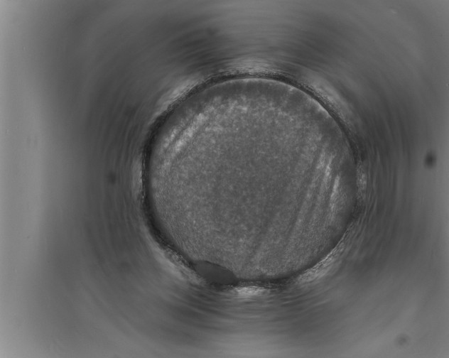 X0000094060158200711161533