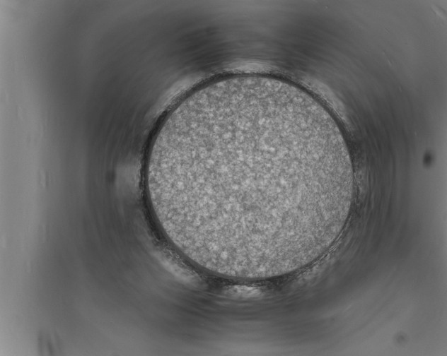 X0000094060159200711161533