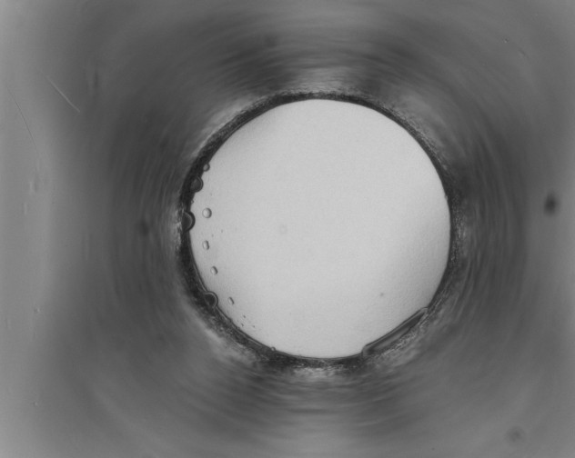 X0000094060160200711161533