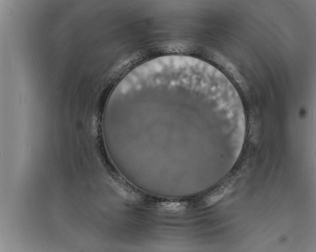 X0000094060161200711161533