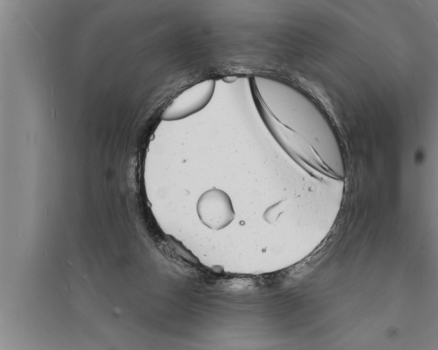 X0000094060162200711161533