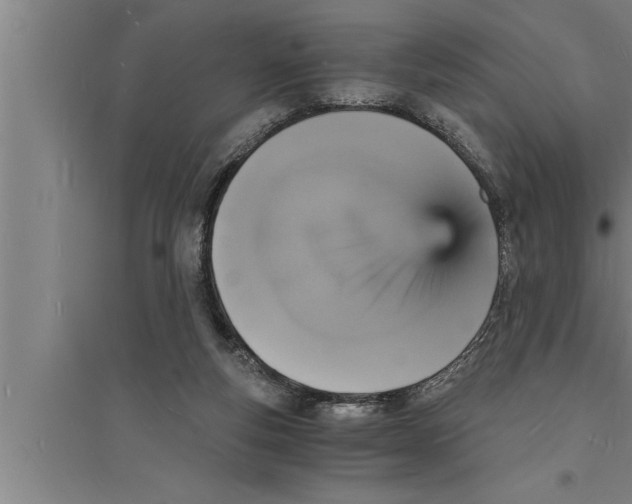 X0000094060163200711161533