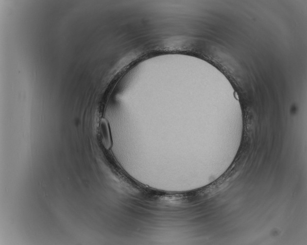 X0000094060164200711161533