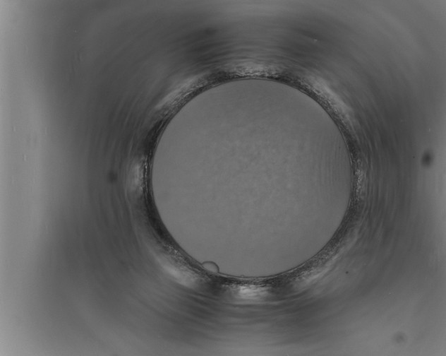 X0000094060165200711161533