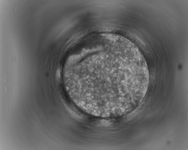 X0000094060166200711161533